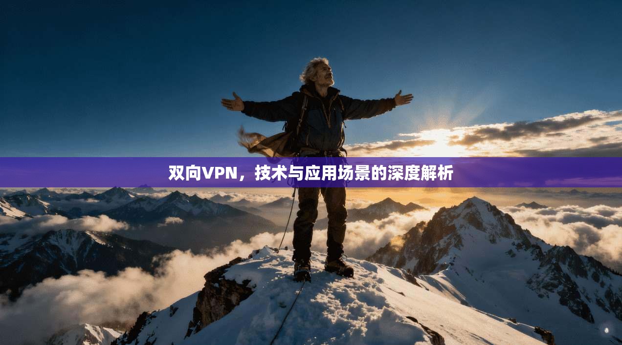 双向VPN，技术与应用场景的深度解析