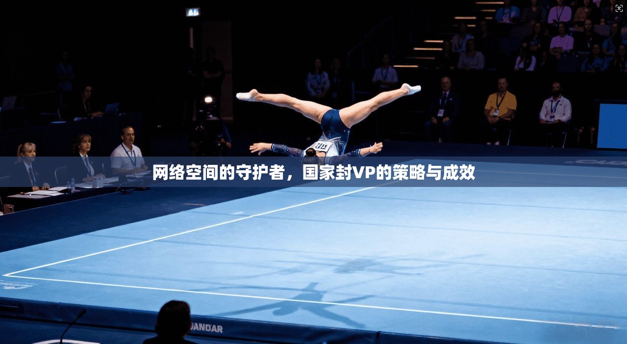 网络空间的守护者，国家封VP的策略与成效