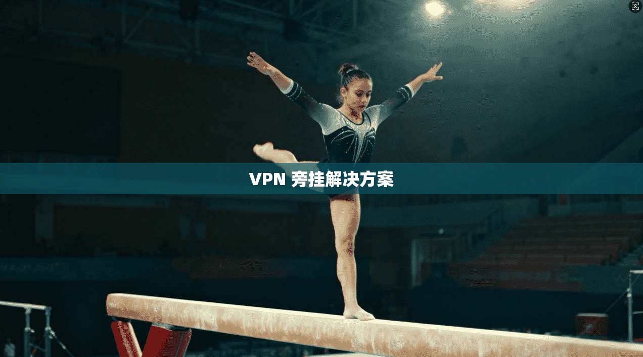 VPN 旁挂解决方案 第1张 VPN 旁挂解决方案 第1张