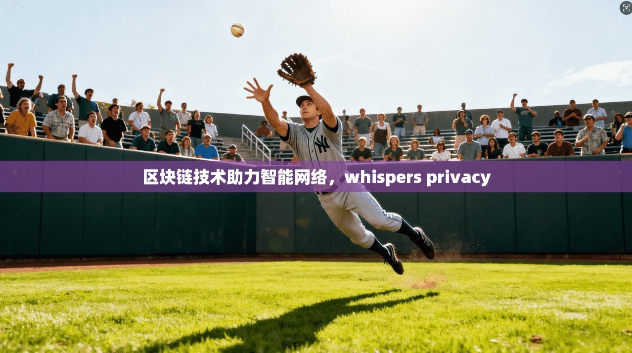 区块链技术助力智能网络，whispers privacy