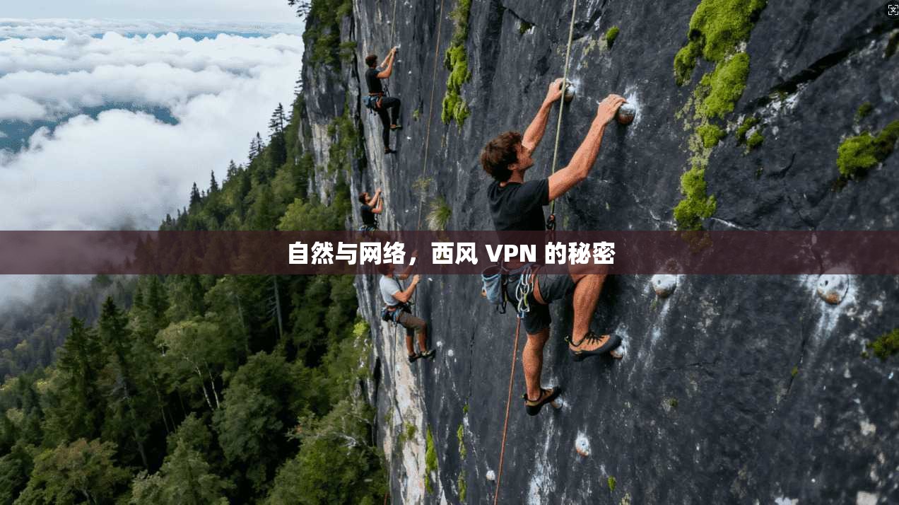 自然与网络，西风 VPN 的秘密
