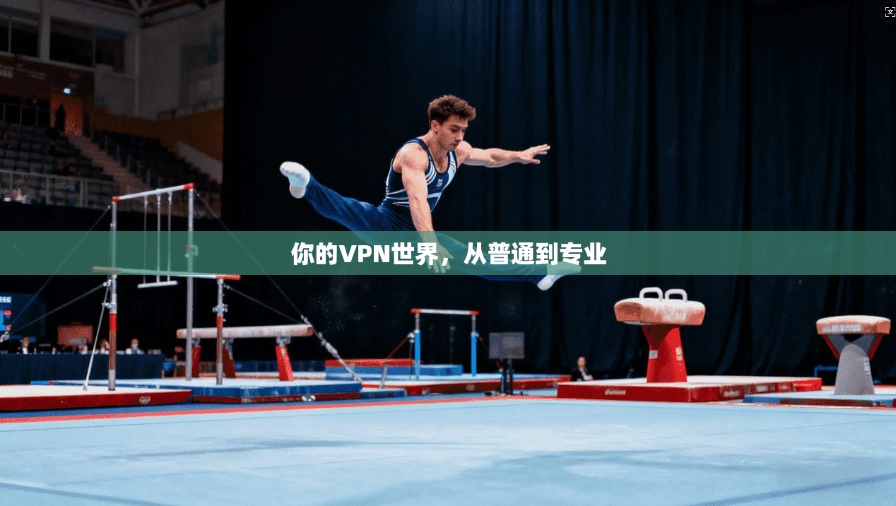 你的VPN世界，从普通到专业  第1张