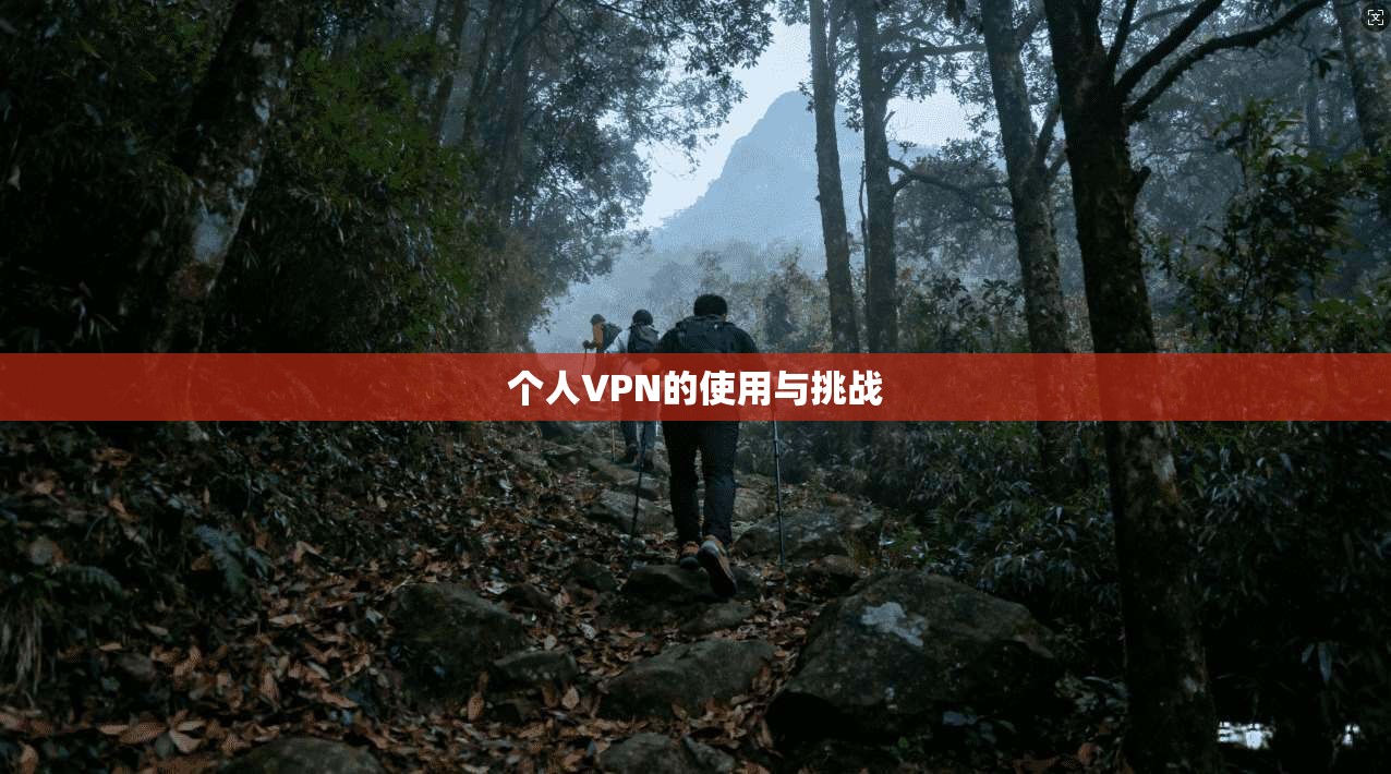 个人VPN的使用与挑战  第1张