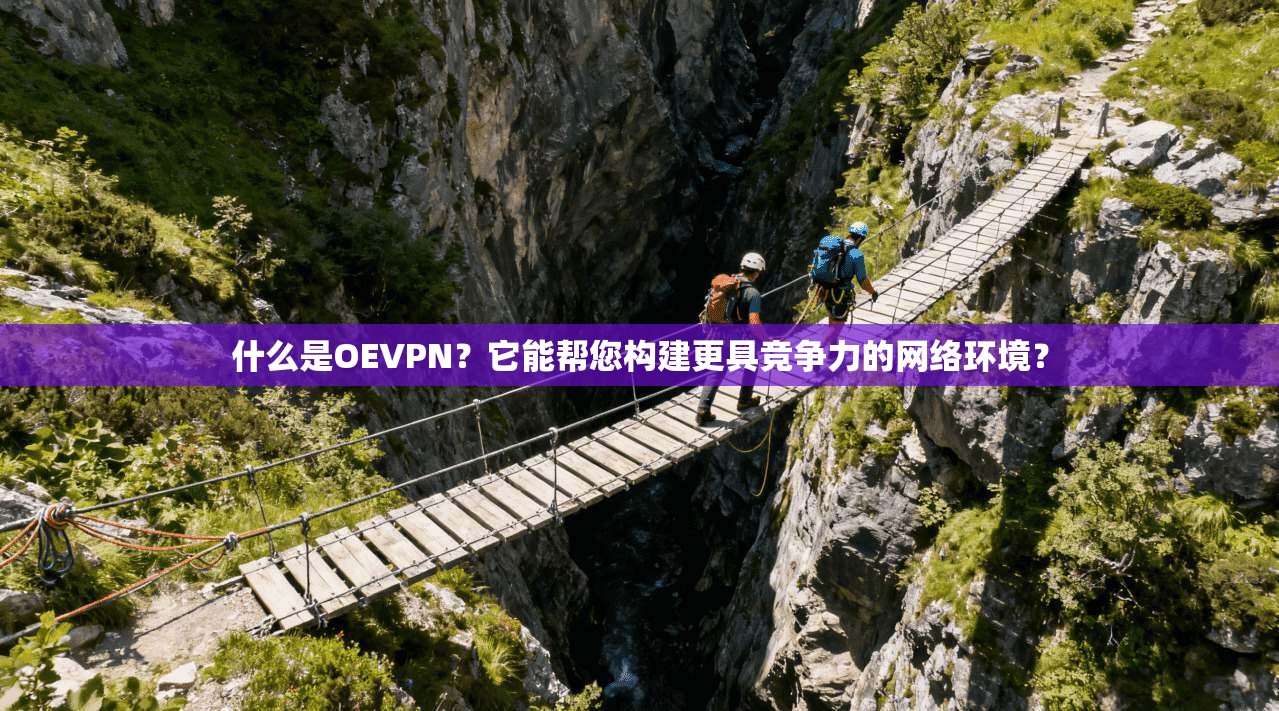 什么是OEVPN？它能帮您构建更具竞争力的网络环境？  第1张