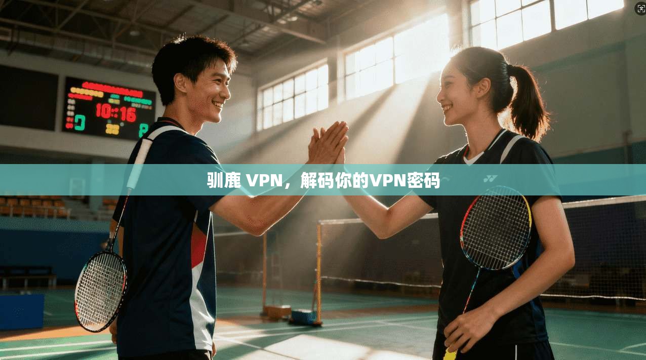 驯鹿 VPN,解码你的VPN密码 第1张 驯鹿 VPN,解码你的VPN密码 第1张