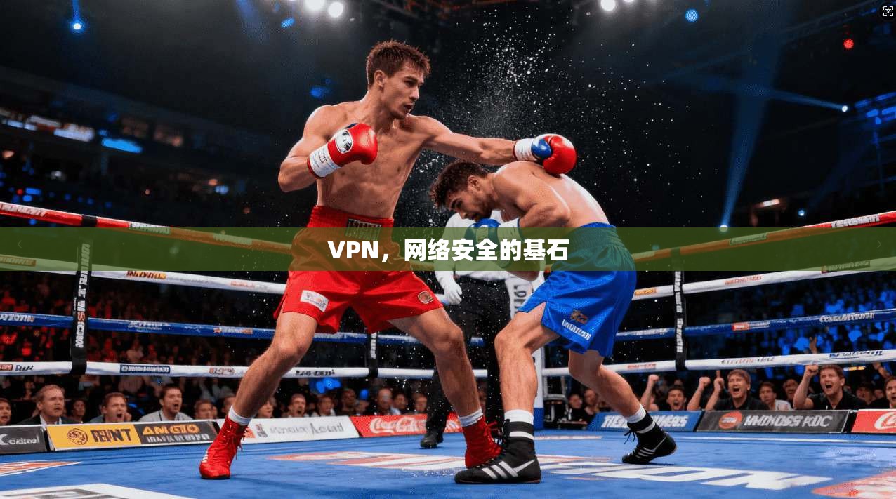 VPN，网络安全的基石  第1张