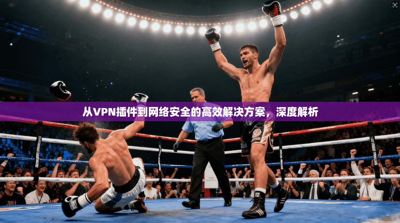从VPN插件到网络安全的高效解决方案，深度解析