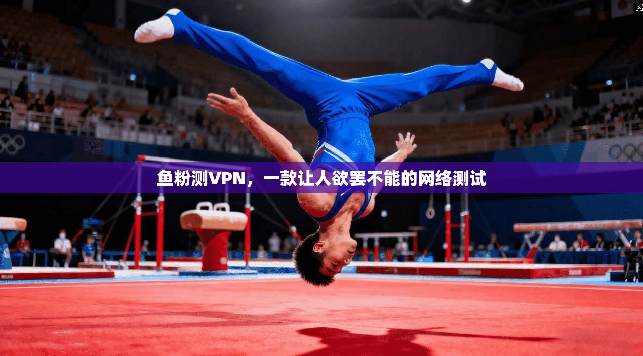 鱼粉测VPN,一款让人欲罢不能的网络测试 第1张 鱼粉测VPN,一款让人欲罢不能的网络测试 第1张