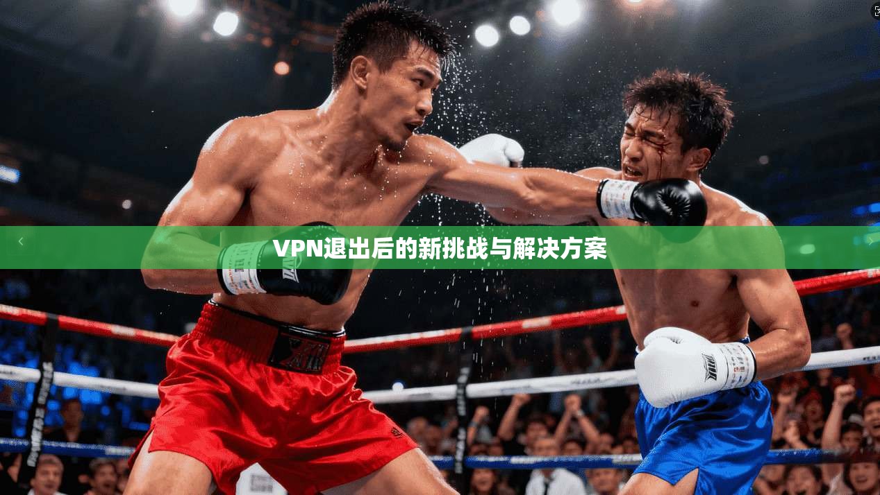 VPN退出后的新挑战与解决方案  第1张