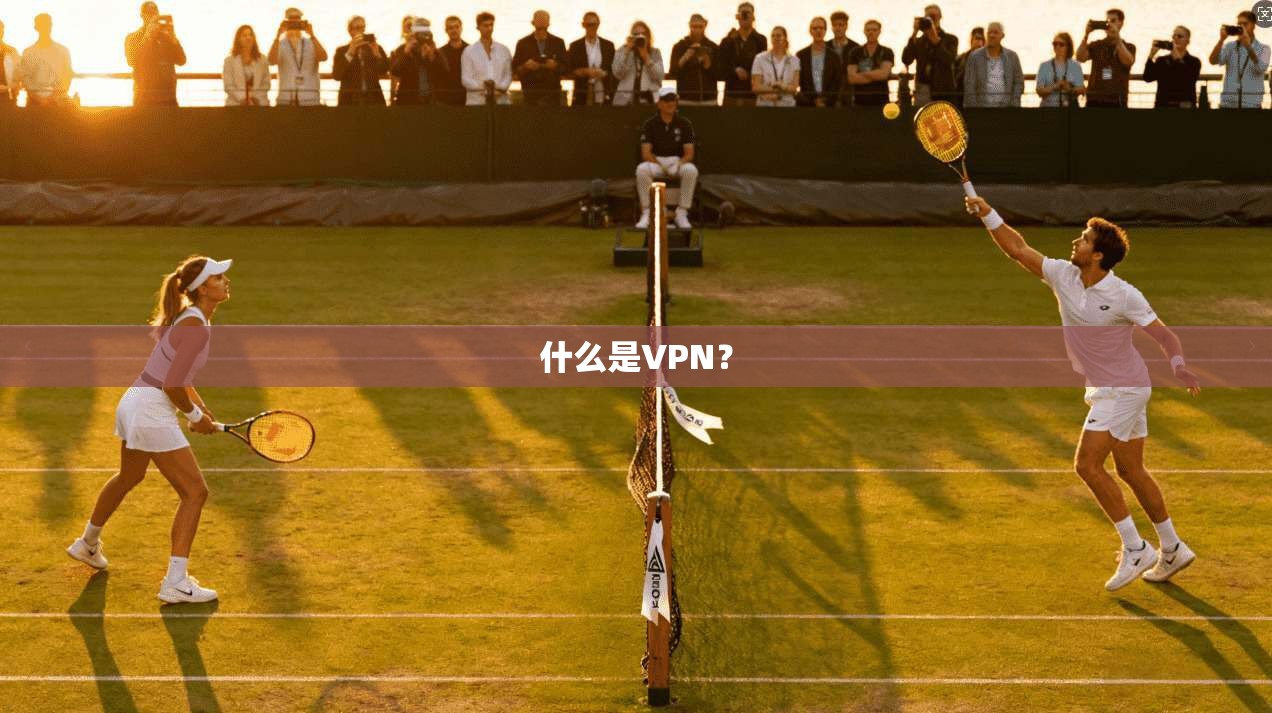 什么是VPN? 第1张 什么是VPN? 第1张