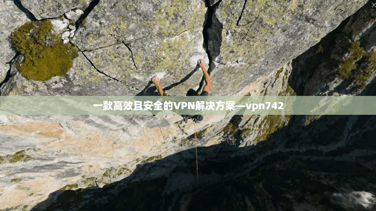 一款高效且安全的VPN解决方案—vpn742