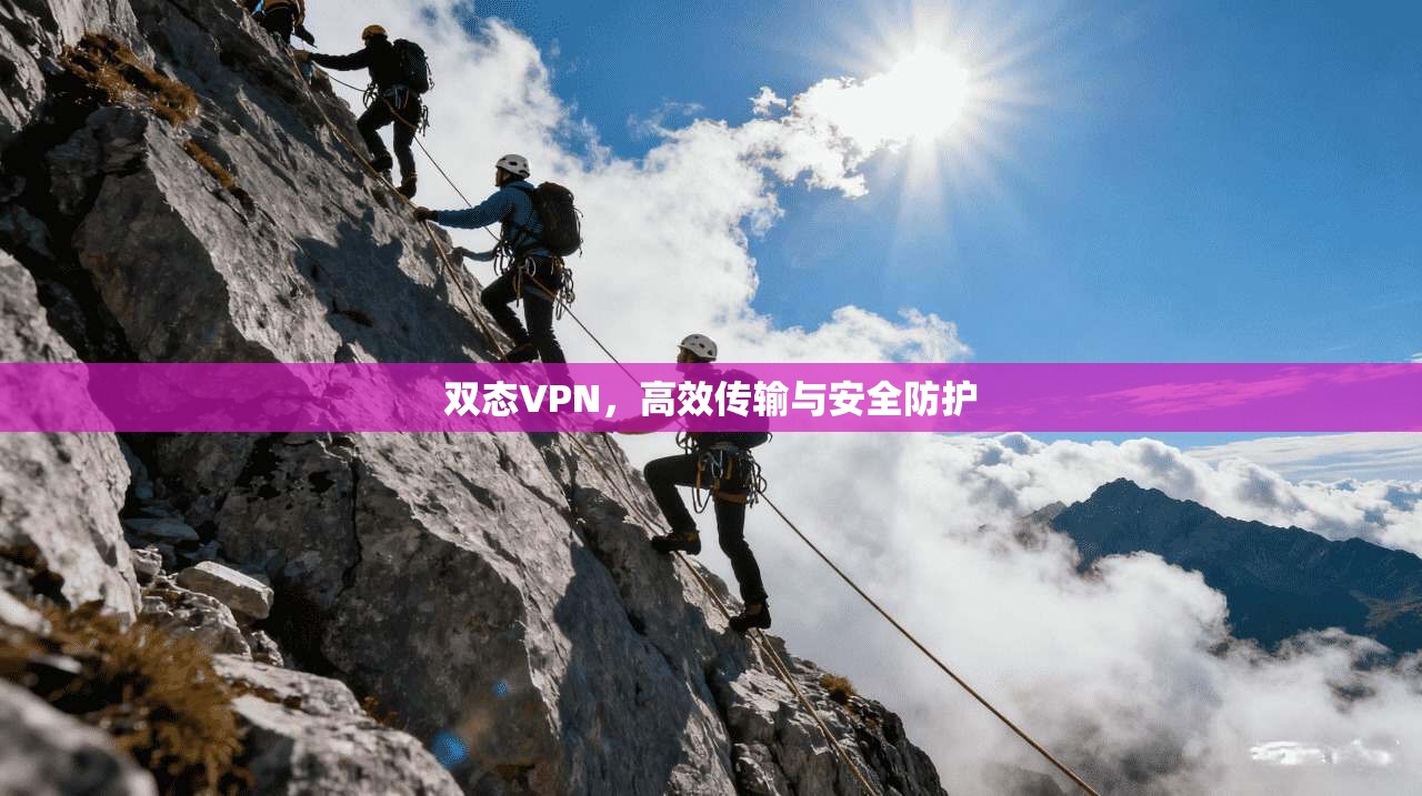 双态VPN，高效传输与安全防护  第1张