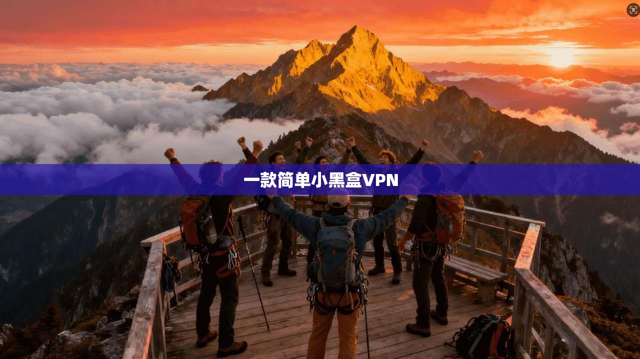 一款简单小黑盒VPN 第1张 一款简单小黑盒VPN 第1张