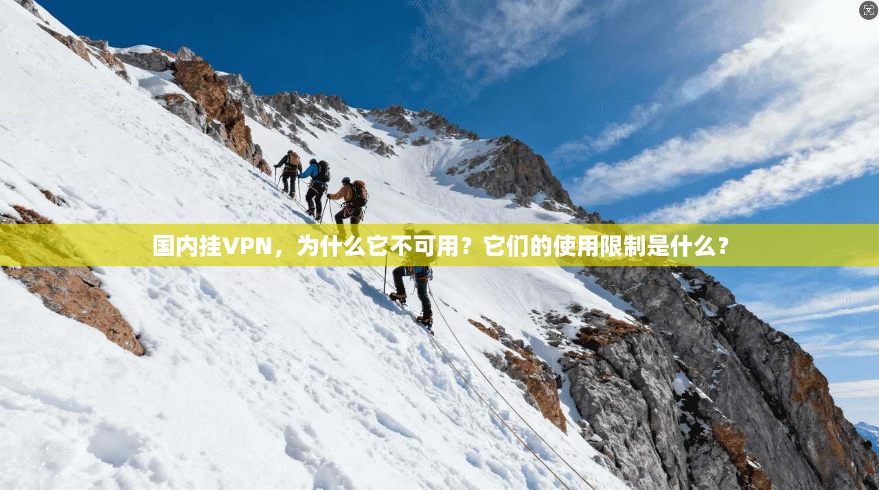 国内挂VPN，为什么它不可用？它们的使用限制是什么？