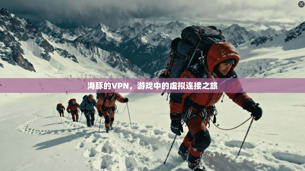 海豚的VPN，游戏中的虚拟连接之旅