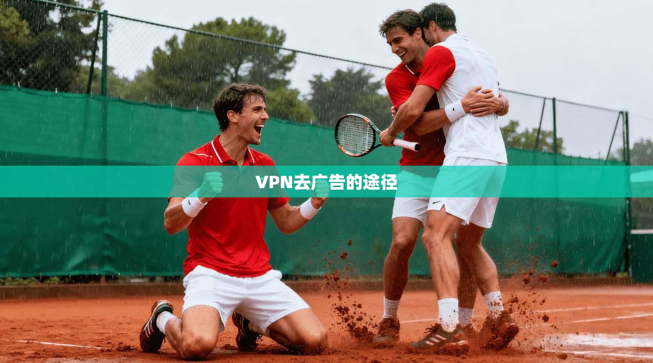 VPN去广告的途径