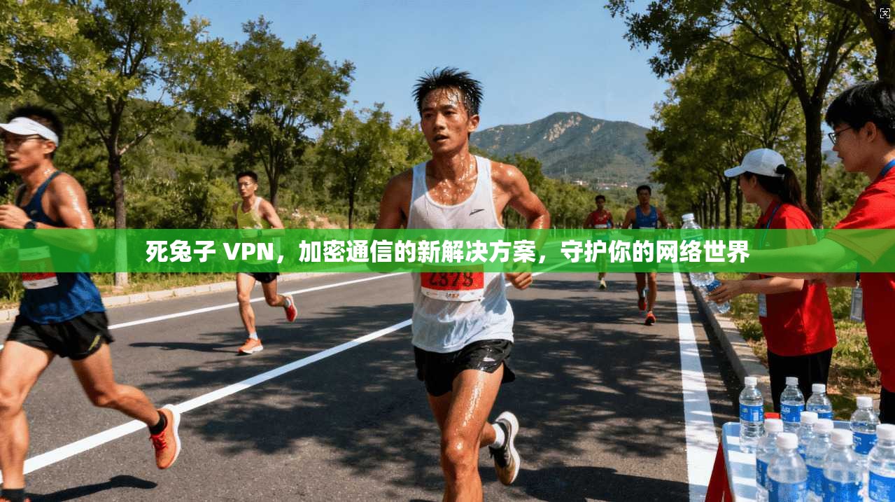 死兔子 VPN,加密通信的新解决方案,守护你的网络世界 第1张 死兔子 VPN,加密通信的新解决方案,守护你的网络世界 第1张