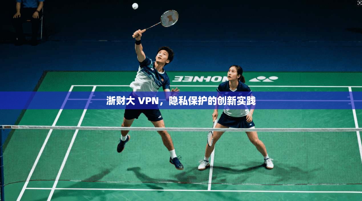 浙财大 VPN，隐私保护的创新实践