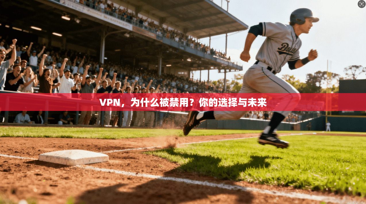 VPN，为什么被禁用？你的选择与未来  第1张