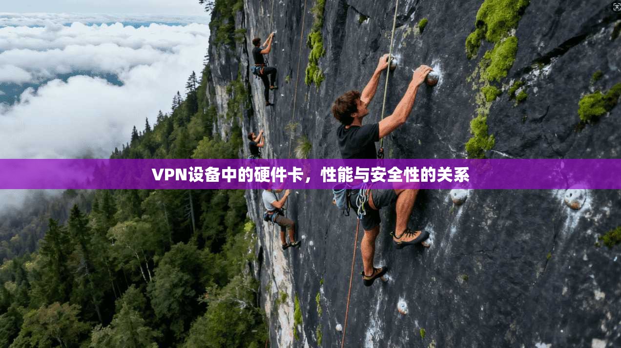 VPN设备中的硬件卡，性能与安全性的关系
