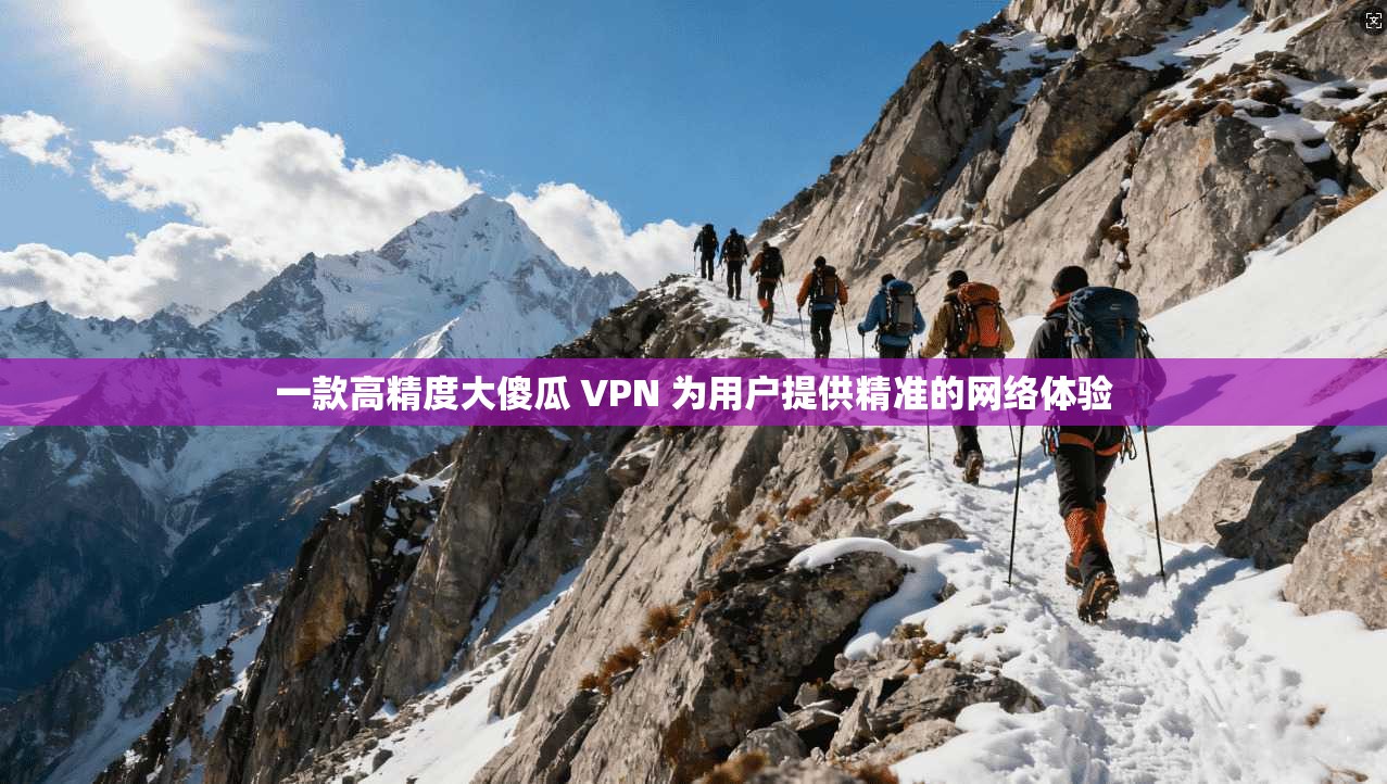 一款高精度大傻瓜 VPN 为用户提供精准的网络体验