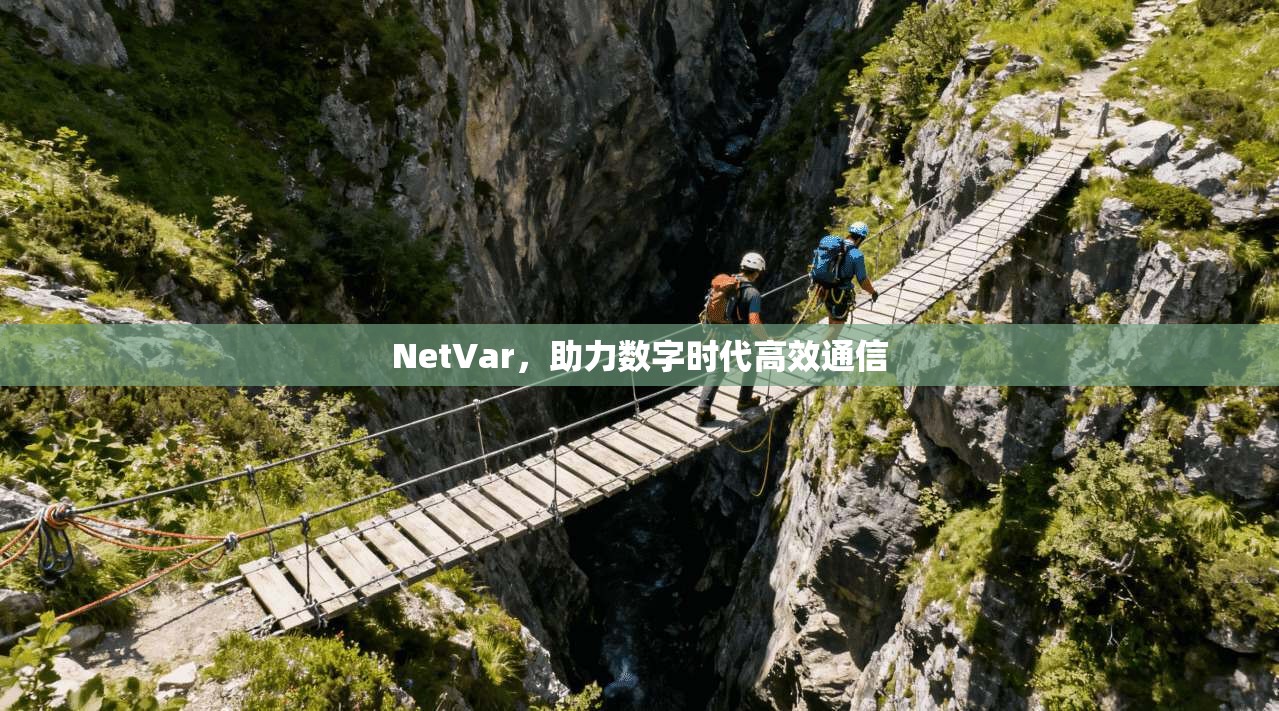 NetVar，助力数字时代高效通信  第1张