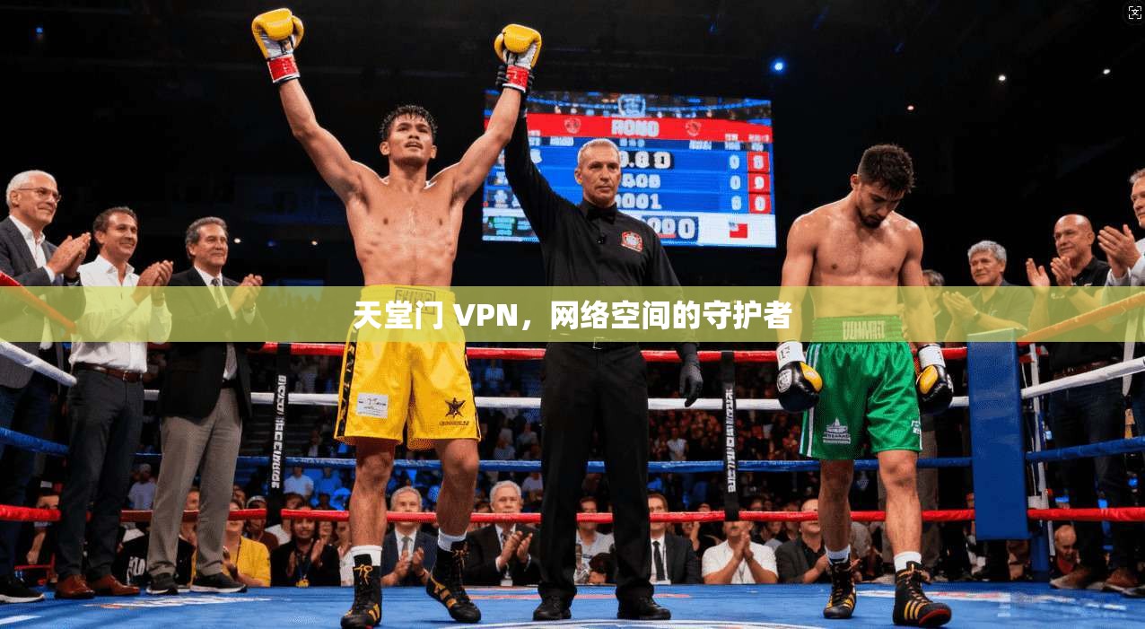 天堂门 VPN，网络空间的守护者