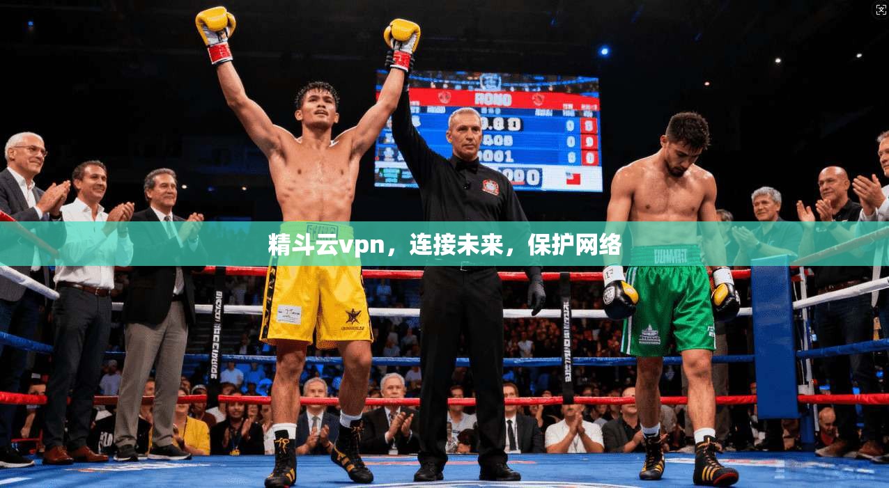 精斗云vpn，连接未来，保护网络