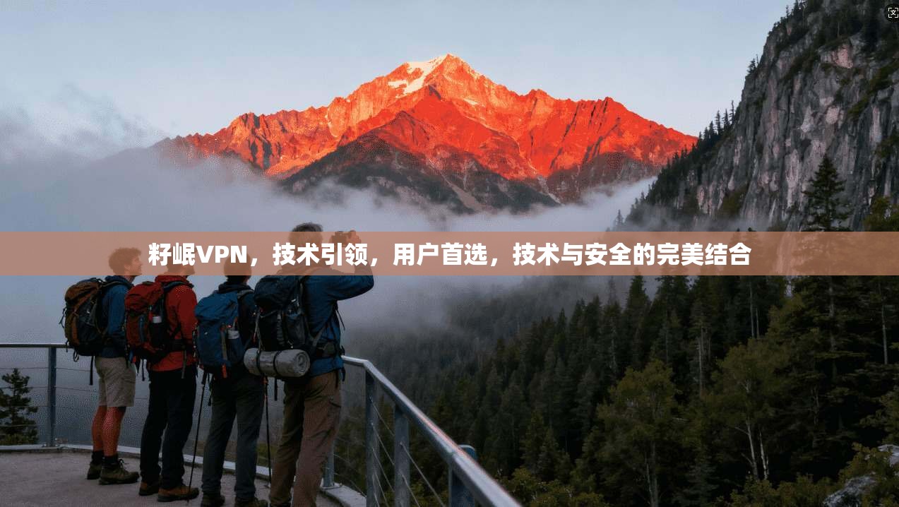 籽岷VPN，技术引领，用户首选，技术与安全的完美结合  第1张