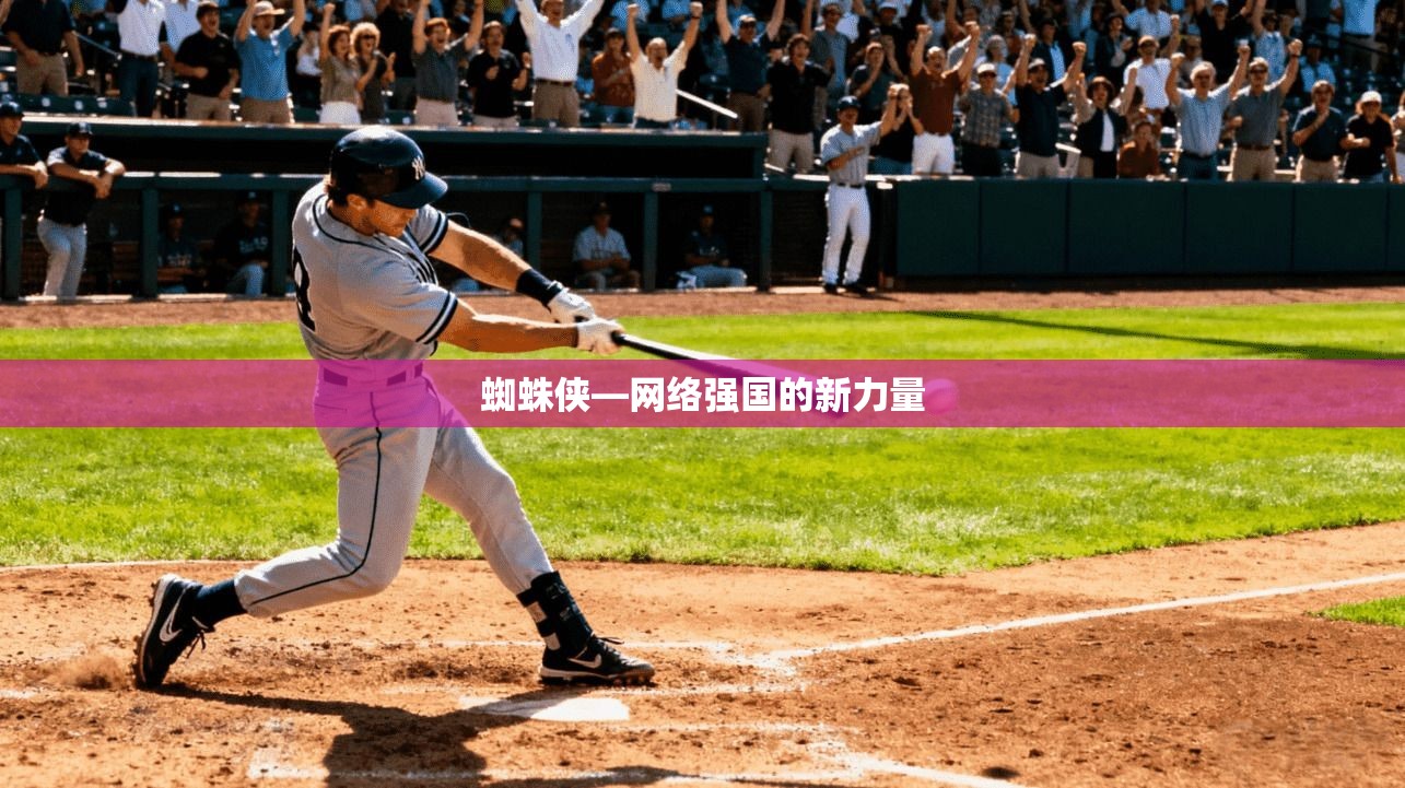 蜘蛛侠—网络强国的新力量  第1张