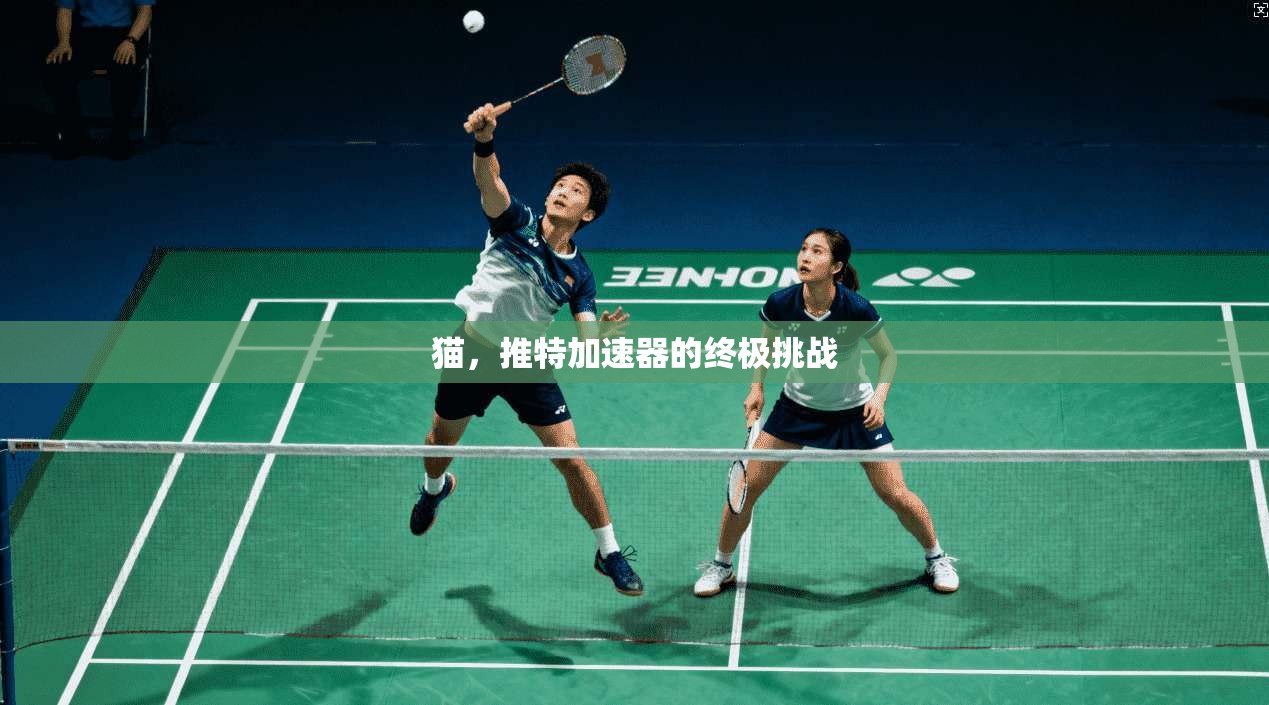 猫,推特加速器的终极挑战 第1张 猫,推特加速器的终极挑战 第1张