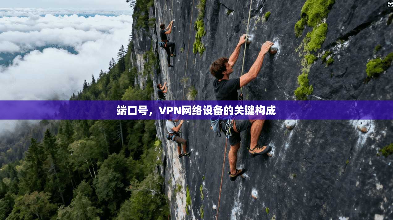端口号，VPN网络设备的关键构成