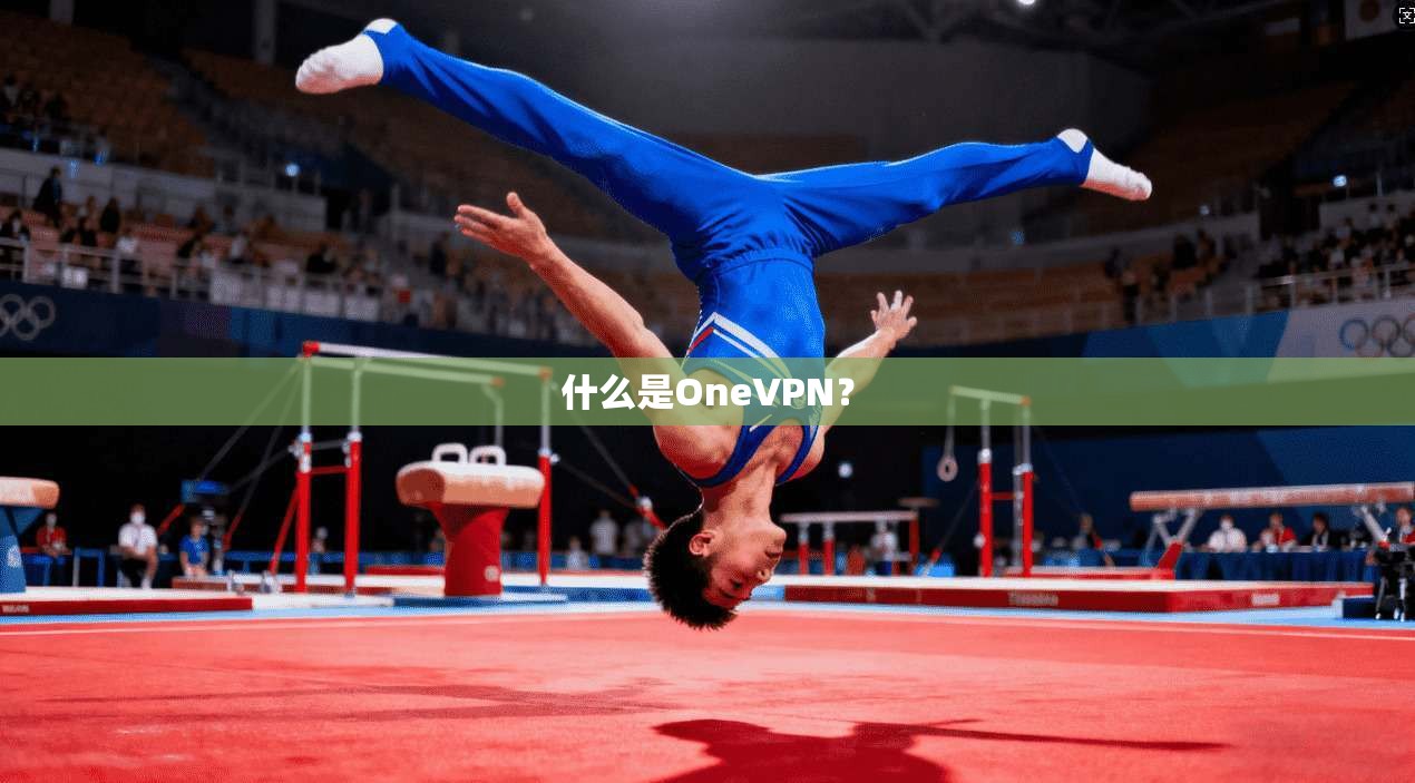 什么是OneVPN？