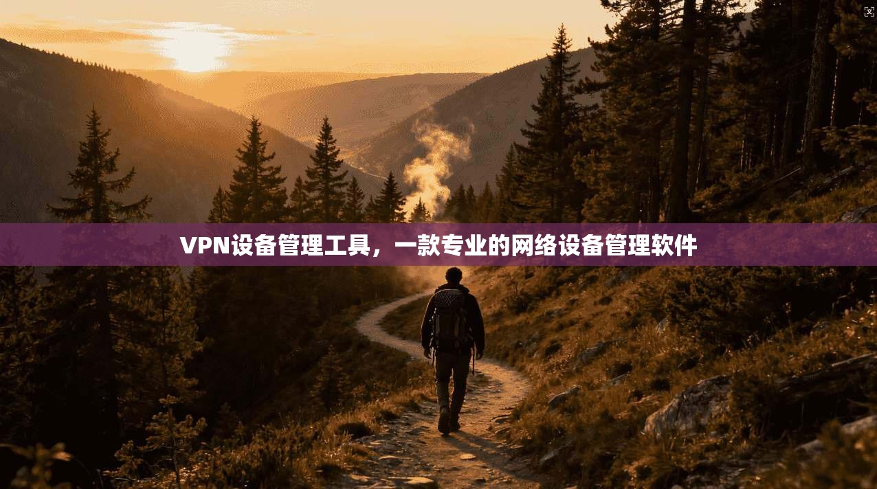 VPN设备管理工具，一款专业的网络设备管理软件
