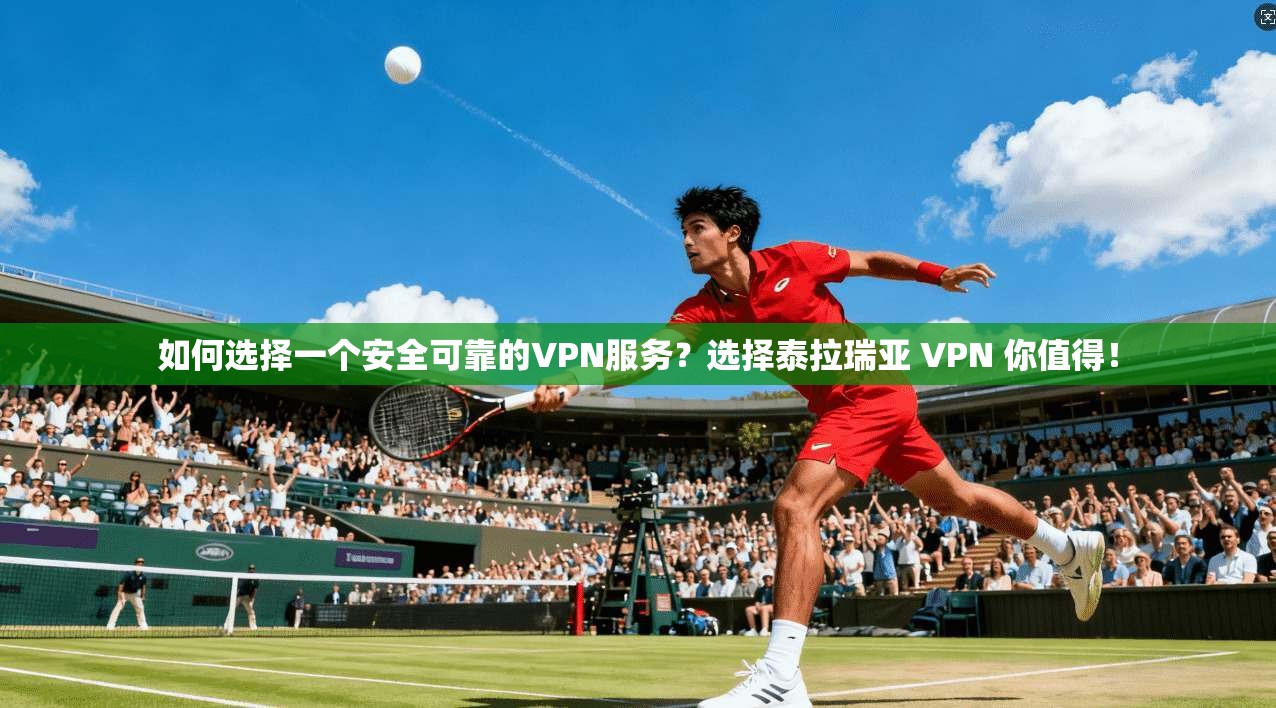 如何选择一个安全可靠的VPN服务？选择泰拉瑞亚 VPN 你值得！