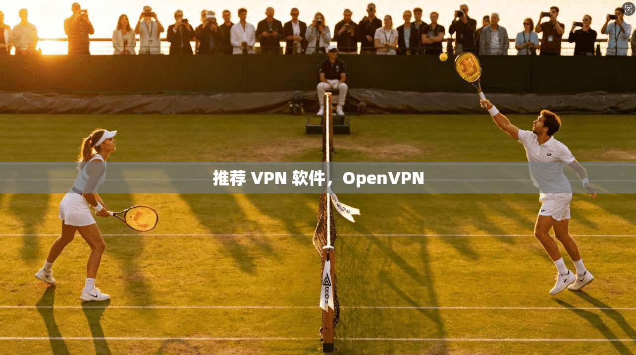推荐 VPN 软件，OpenVPN