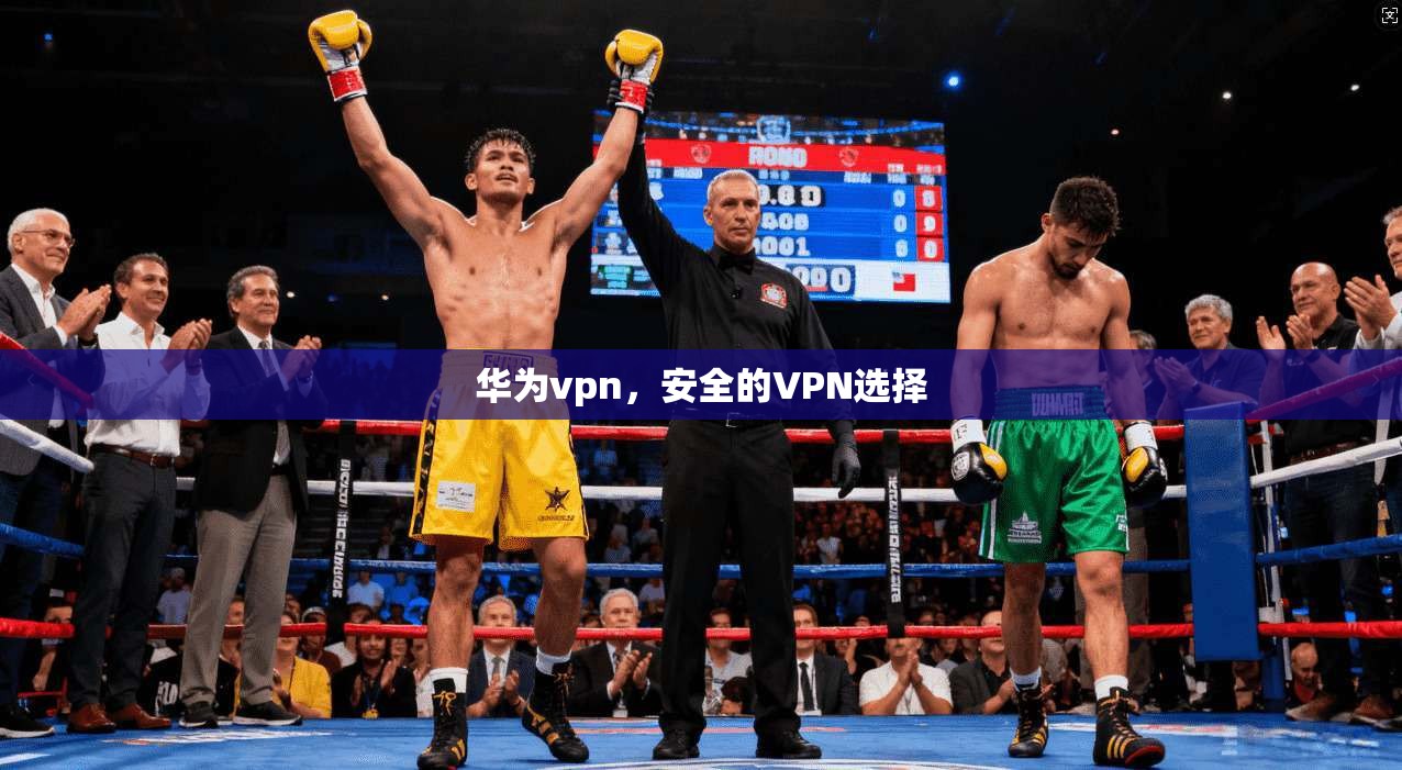 华为vpn，安全的VPN选择  第1张