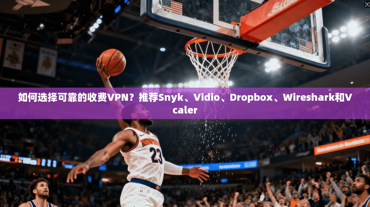 如何选择可靠的收费VPN？推荐Snyk、Vidio、Dropbox、Wireshark和Vcaler