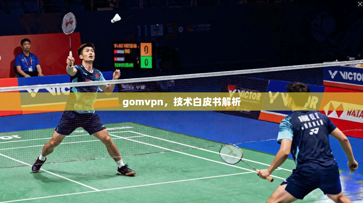 gomvpn，技术白皮书解析  第1张