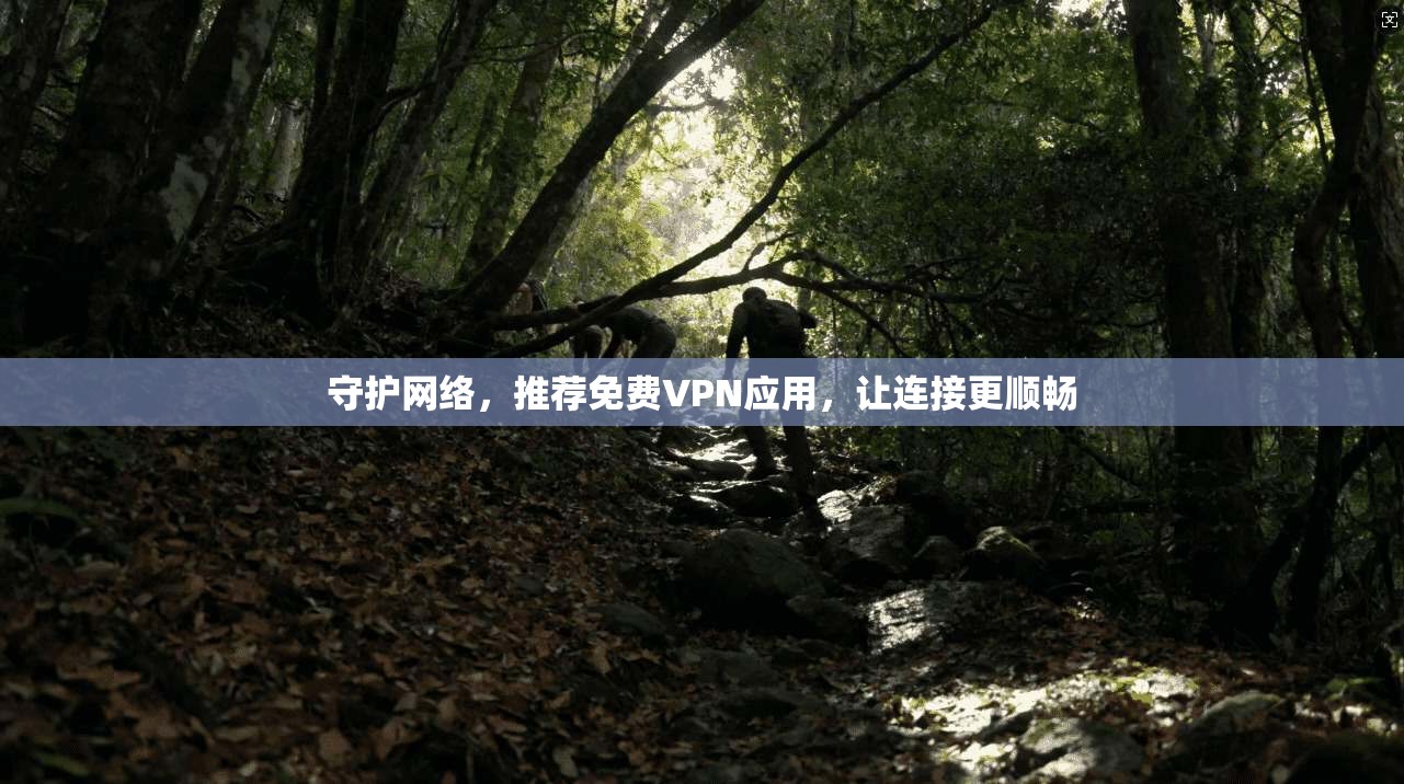 守护网络，推荐免费VPN应用，让连接更顺畅