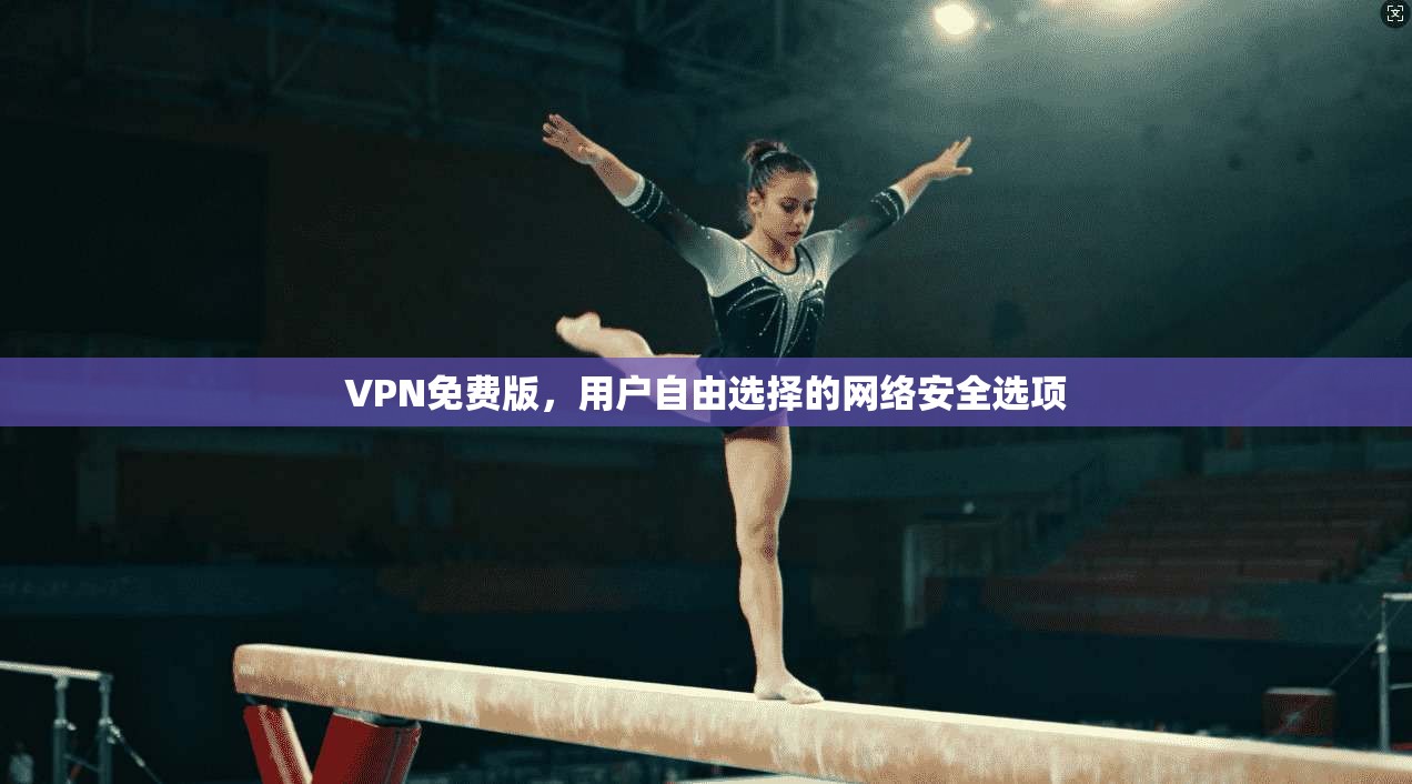 VPN免费版，用户自由选择的网络安全选项  第1张