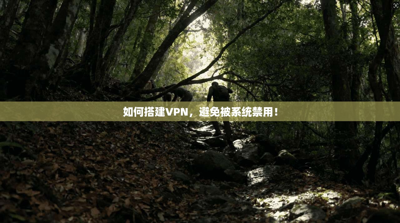 如何搭建VPN，避免被系统禁用！  第1张