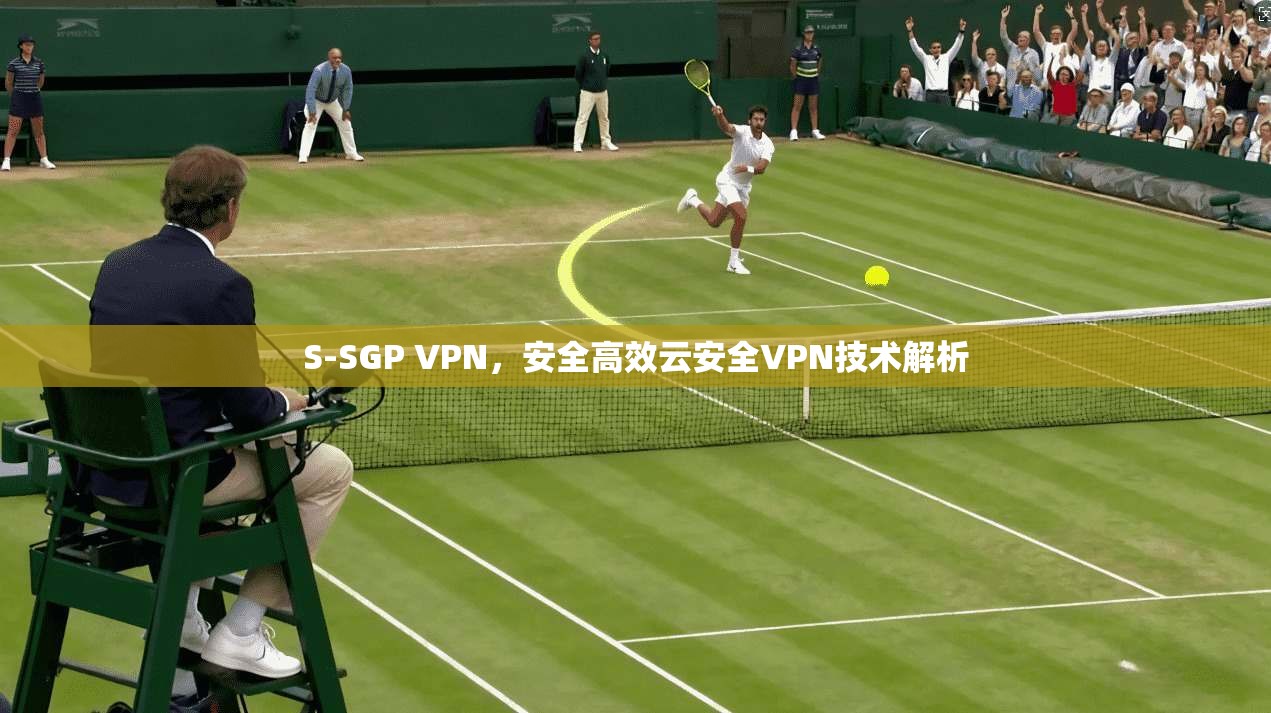 S-SGP VPN，安全高效云安全VPN技术解析  第1张