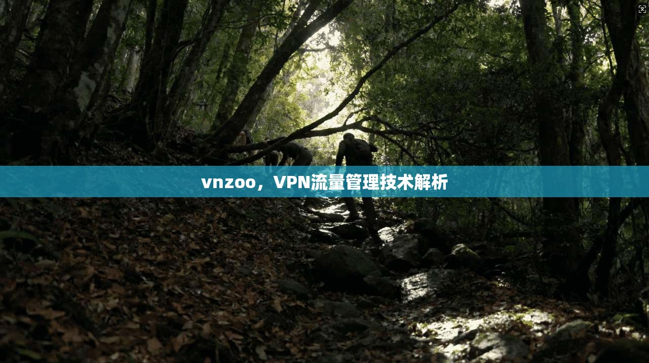 vnzoo，VPN流量管理技术解析