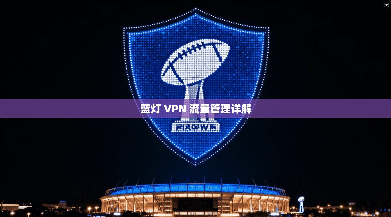 蓝灯 VPN 流量管理详解 第1张 蓝灯 VPN 流量管理详解 第1张