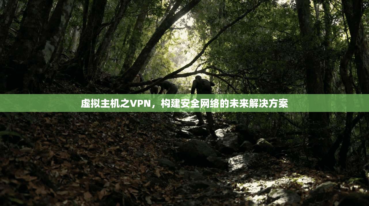 虚拟主机之VPN，构建安全网络的未来解决方案  第1张