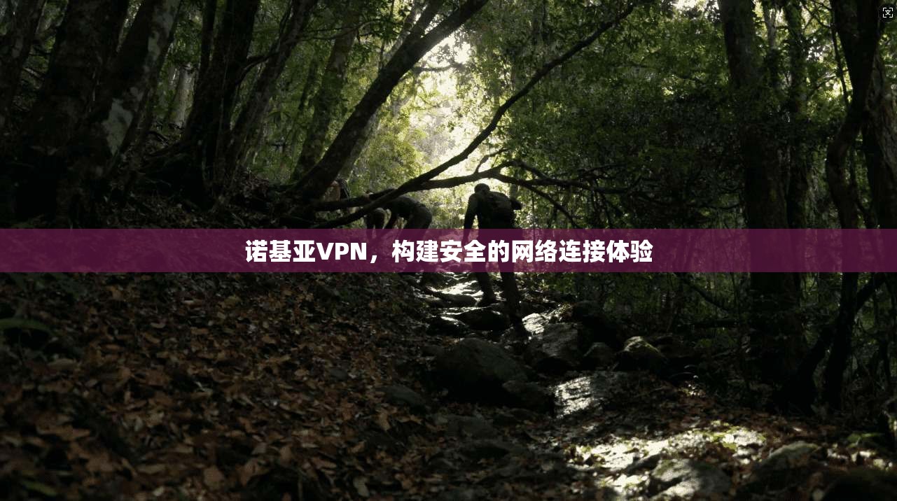 诺基亚VPN，构建安全的网络连接体验