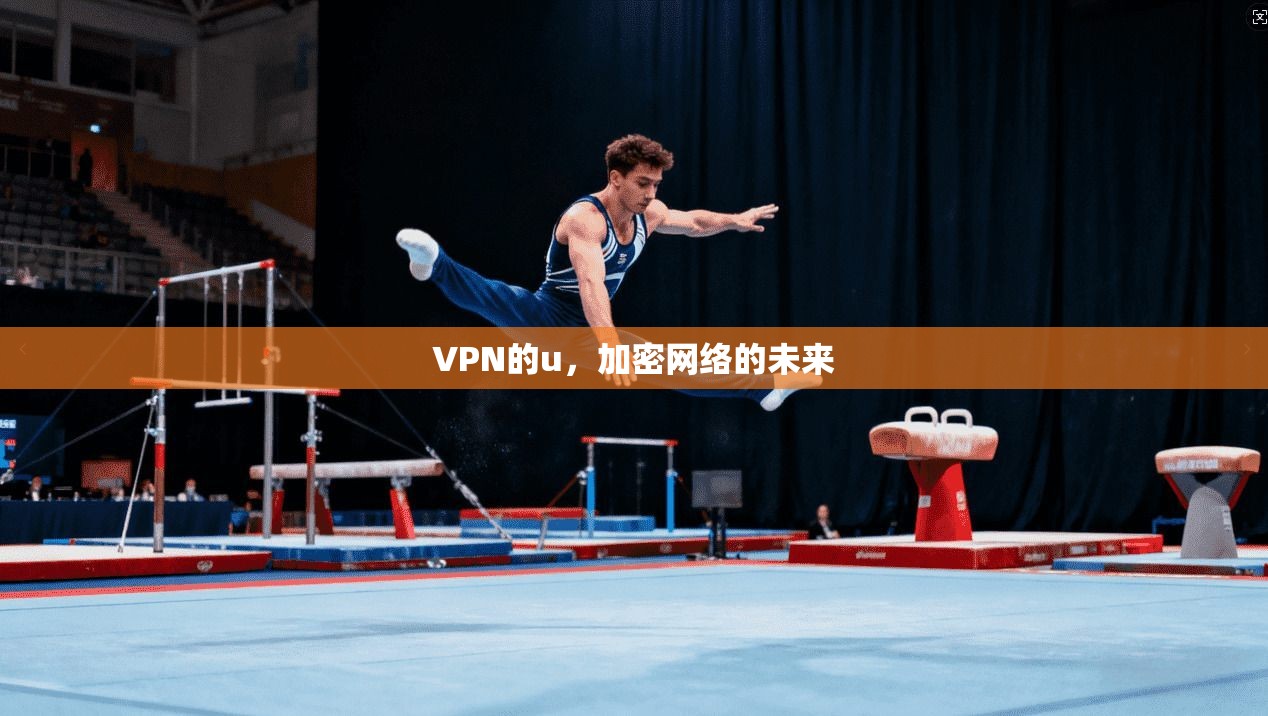 VPN的u,加密网络的未来 第1张 VPN的u,加密网络的未来 第1张
