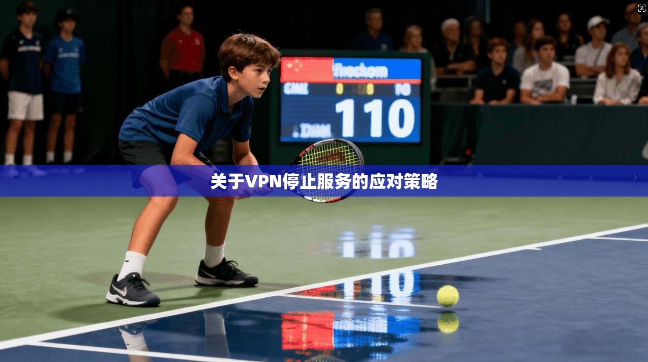 关于VPN停止服务的应对策略