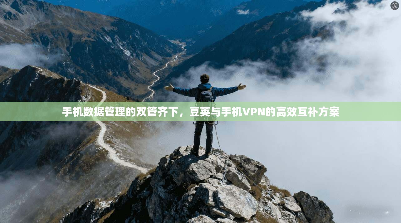 手机数据管理的双管齐下，豆荚与手机VPN的高效互补方案  第1张